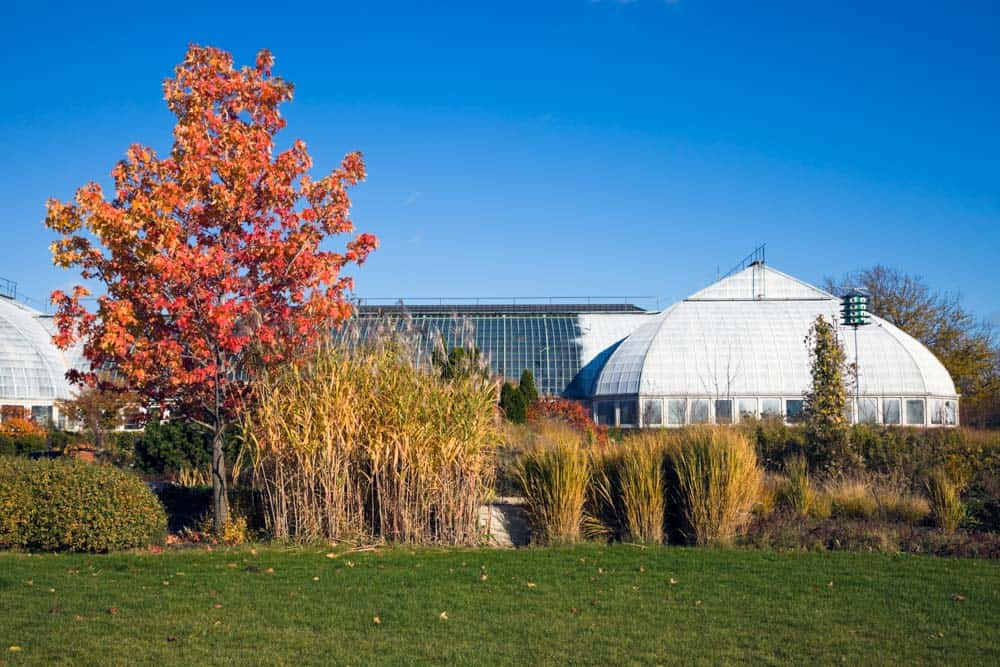 Chicago, Illinois Bucket List: Garfield Park Conservatory