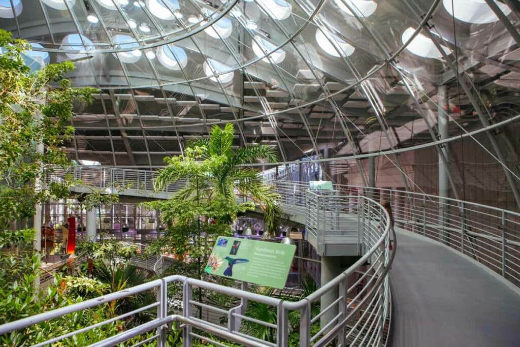 Cool Things to do in San Francisco with Kids: Academy of Sciences