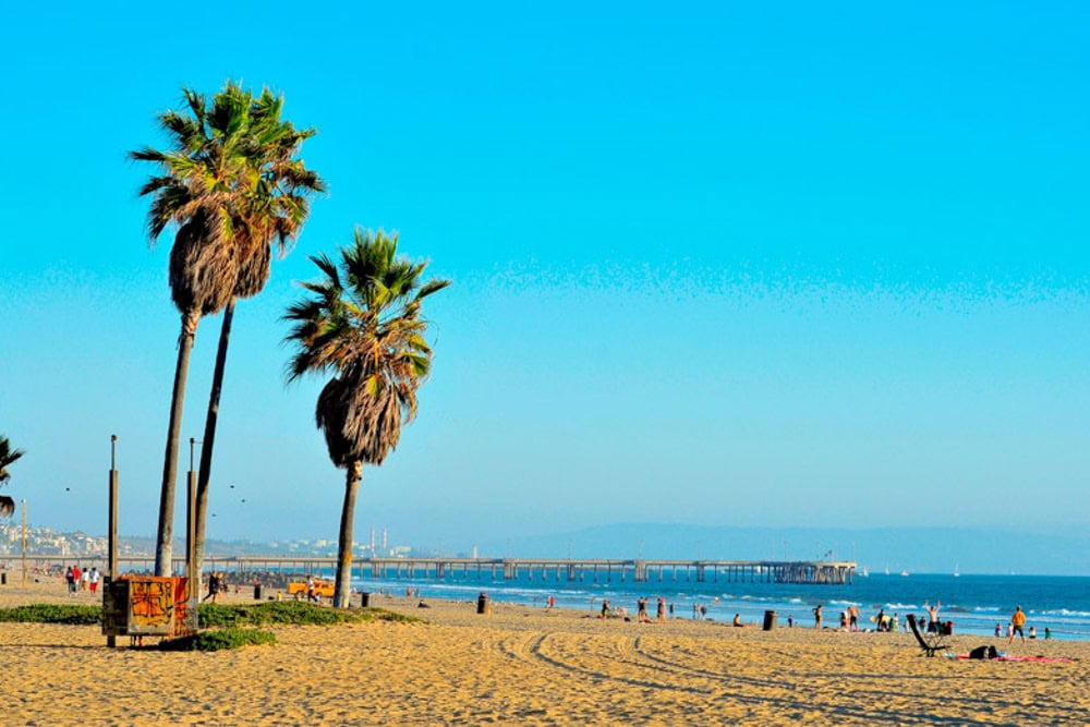 Must Do Things to do in Los Angeles, California: Venice Beach