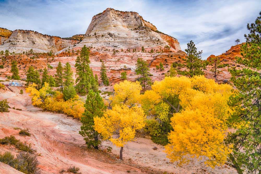 Must-see National Parks to Visit during Fall: Zion National Park
