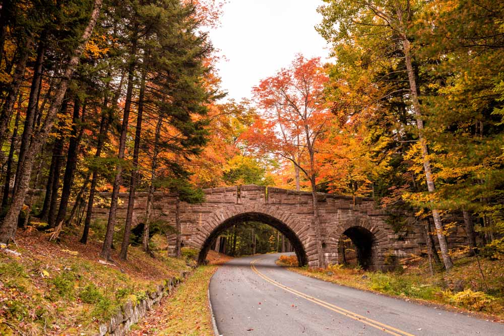 Must-visit National Parks in the Fall: Acadia National Park